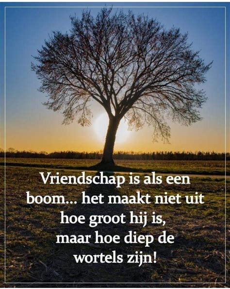 21 inspirerende Quotes over Vriendschap